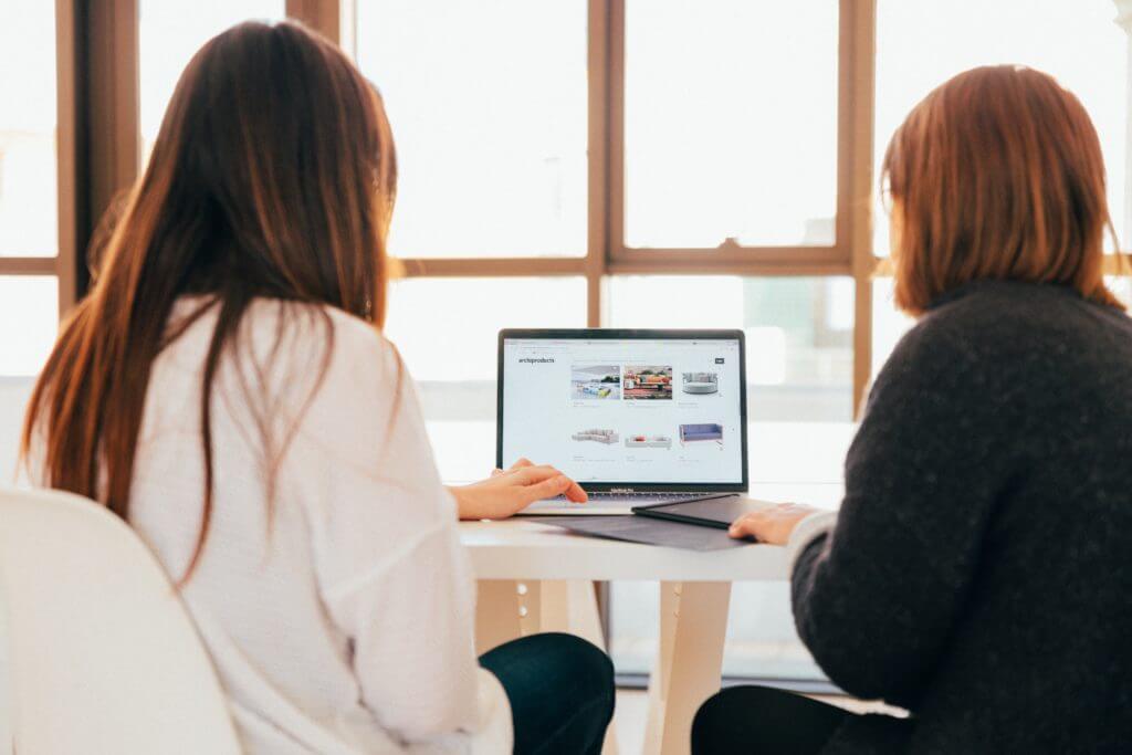 Two women having a meeting at a computer